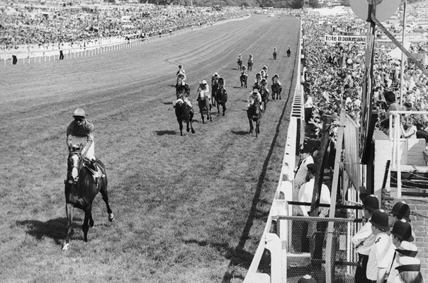 Shergar & Walter Swinburn win The Derby Epsom 1981