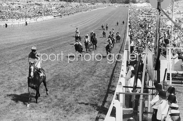 Shergar & Walter Swinburn win The Derby Epsom 1981