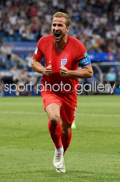 Harry Kane England 2nd Goal v Tunisia World Cup Volgograd 2018