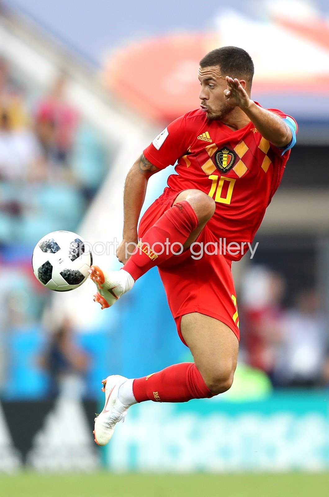 Hazard belgium