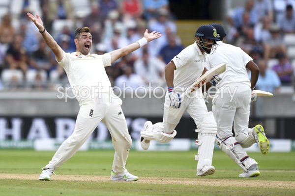 James Anderson Appeals England v India 1st Test Day Two