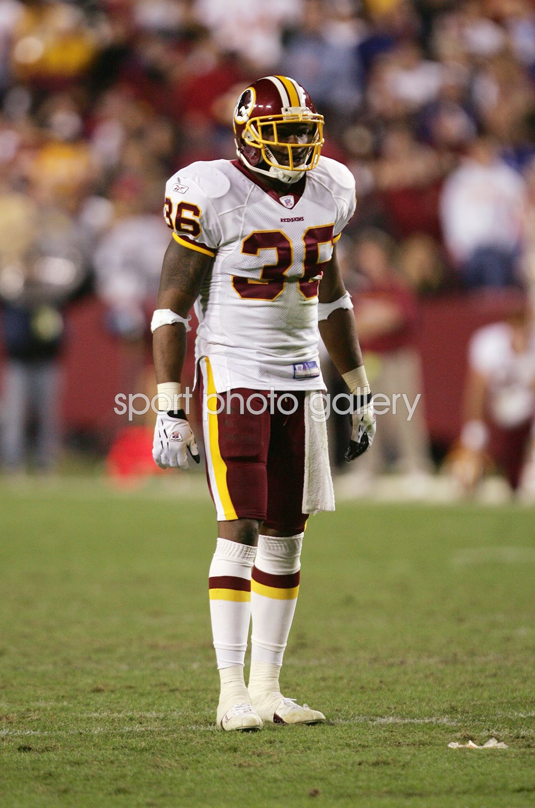 sean taylor 36 jersey