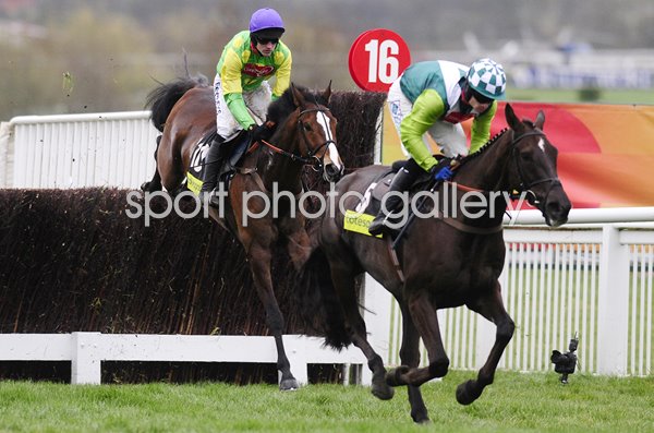 Denman leads Kauto Star Cheltenham Gold Cup 2008