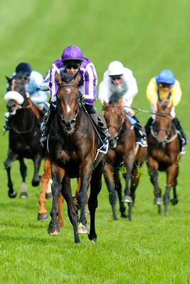 Camelot & Joseph O'Brien Derby Epsom 2012