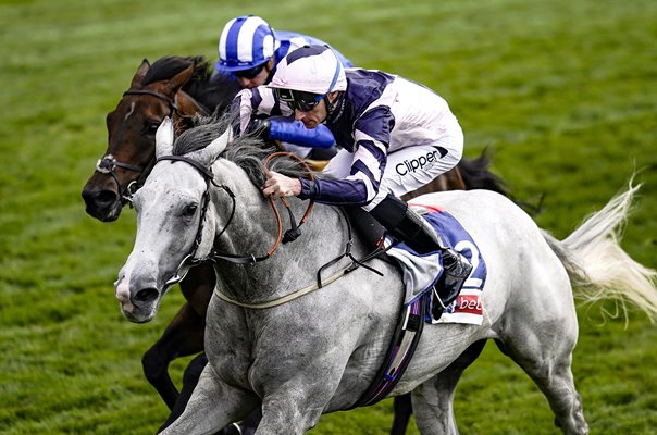 Daniel Tudhope riding Lord Glitters York Races 2018