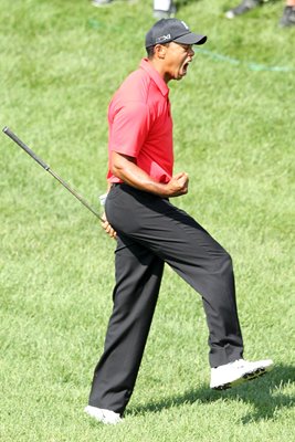 Tiger Woods celebrates holed chip Memorial 2012