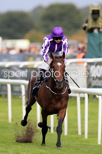 Ryan Moore on Kew Gardens win St Leger Doncaster 2018