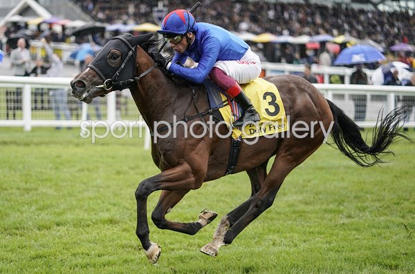 Frankie Dettori riding Kessaar Newbury Races 2018