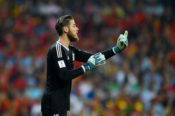 David de Gea Spain Goalkeeper v Italy Madrid 2017