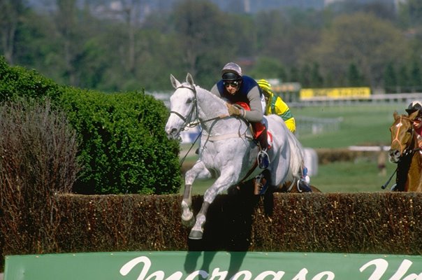 Desert Orchid jumping Whitbread Gold Cup Sandown Park 1988