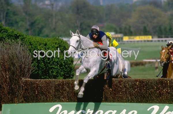 Desert Orchid jumping Whitbread Gold Cup Sandown Park 1988