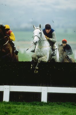 Desert Orchid jumping Cheltenham Gold Cup 1989