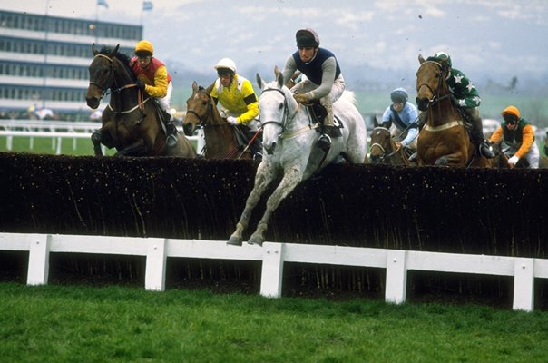 Desert Orchid Cheltenham Gold Cup 1989