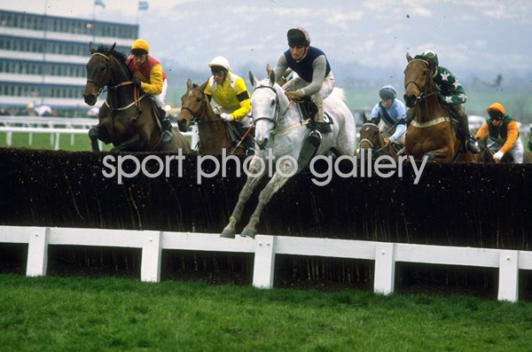 Desert Orchid Cheltenham Gold Cup 1989