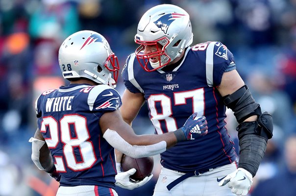 James White & Rob Gronkowski New England Patriots Playoffs 2019