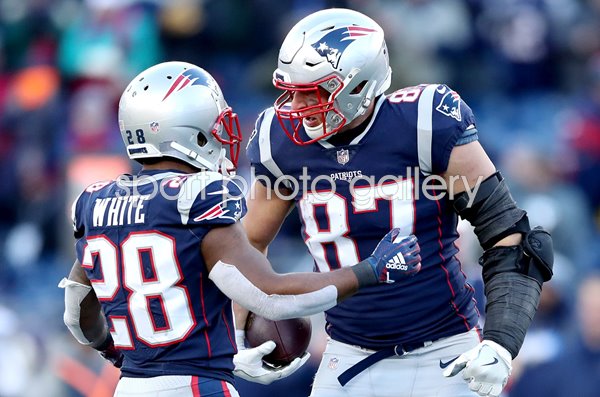 James White & Rob Gronkowski New England Patriots Playoffs 2019
