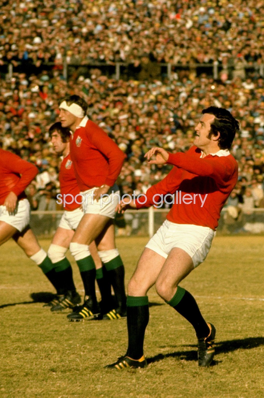 1974 british lions tour to south africa