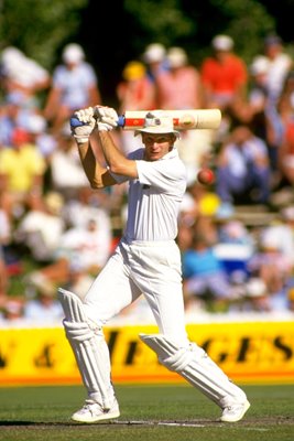 David Gower England Australia Tour 1986