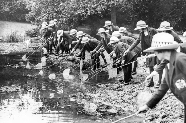 School Fishing