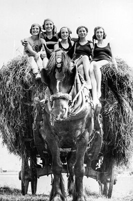 Ride On Hay Cart