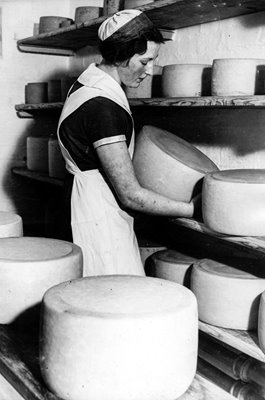 Cheese Turning