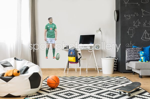 JONATHAN SEXTON IRELAND V ENGLAND DUBLIN SIX NATIONS 2019 WALL STICKER