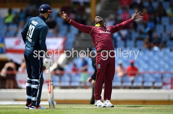 Sheldon Cottrell West Indies Trademark Wicket Celebration 2019