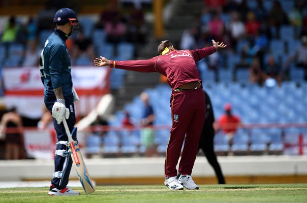 Sheldon Cottrell West Indies Wicket Celebration St Lucia 2019