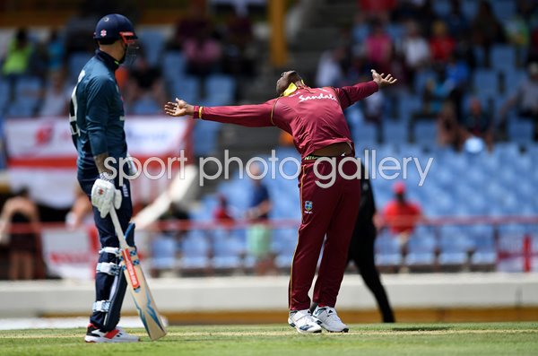 Sheldon Cottrell West Indies Wicket Celebration St Lucia 2019