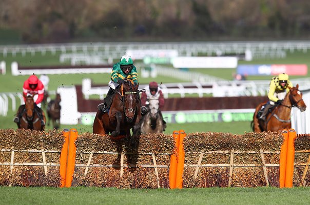 Mark Walsh & Espoir D'Allen action Champion Hurdle Cheltenham 2019