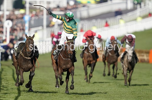 Mark Walsh & Espoir D'Allen Champion Hurdle Cheltenham 2019