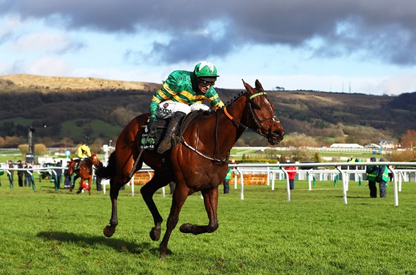 Espoir D'Allen & Mark Walsh Champion Hurdle Cheltenham Festival 2019