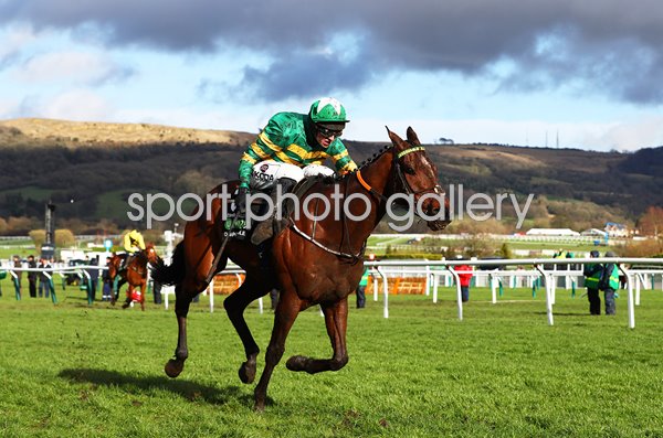 Espoir D'Allen & Mark Walsh Champion Hurdle Cheltenham Festival 2019