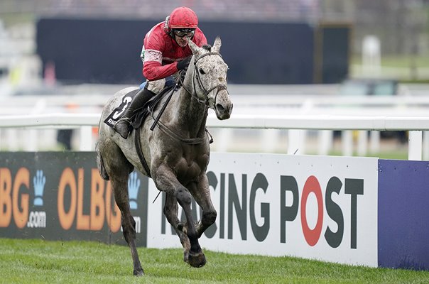 Paul Townend & Duc Des Genievres Arkle Trophy Cheltenham 2019