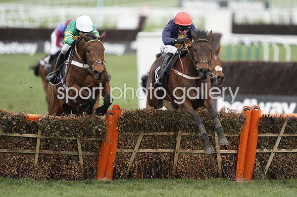 Mark Walsh & City Island Ballymore Novices Chase Cheltenham 2019
