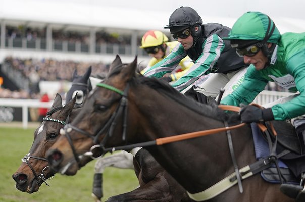 Altior wins Queen Mother Champion Chase Cheltenham 2019