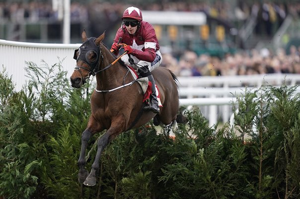 Jockey Keith Donoghue Tiger Roll Glenfarclas Chase Cheltenham 2019