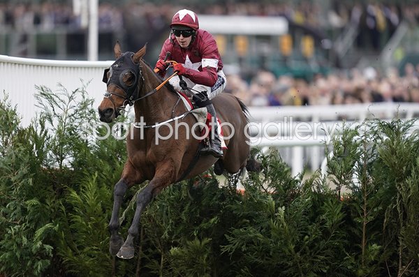 Jockey Keith Donoghue Tiger Roll Glenfarclas Chase Cheltenham 2019