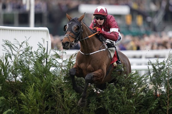 Keith Donoghue & Tiger Roll Glenfarclas Chase Cheltenham 2019