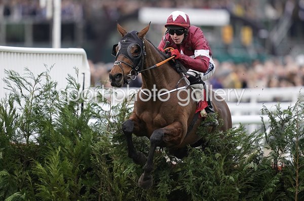 Keith Donoghue & Tiger Roll Glenfarclas Chase Cheltenham 2019