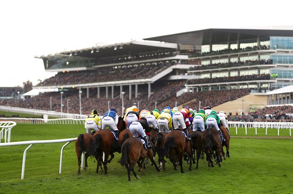 Pertemps Network Final Handicap Hurdle race Cheltenham Festival 2019