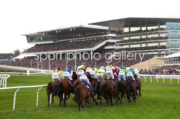 Pertemps Network Final Handicap Hurdle race Cheltenham Festival 2019