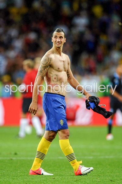   Zlatan Ibrahimovic of Sweden Euro 2012