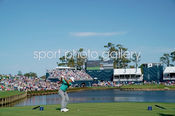Xander Schauffele USA 17th Tee Players Championship Sawgrass 2019