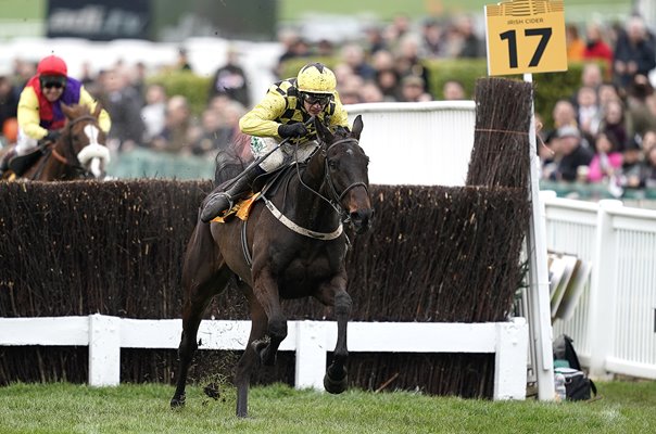 Al Boum Photo & Paul Townend win Cheltenham Gold Cup 2019