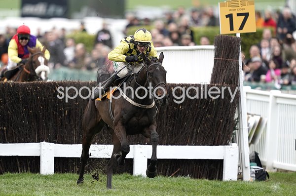 Al Boum Photo & Paul Townend win Cheltenham Gold Cup 2019