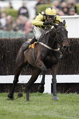 Al Boum Photo & Paul Townend win Gold Cup Cheltenham 2019