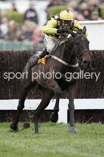 Al Boum Photo & Paul Townend win Gold Cup Cheltenham 2019