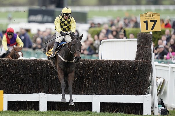 Al Boum Photo & Paul Townend Gold Cup Cheltenham 2019