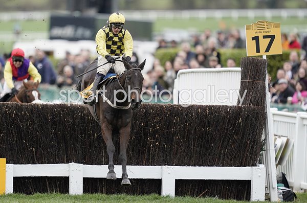Al Boum Photo & Paul Townend Gold Cup Cheltenham 2019